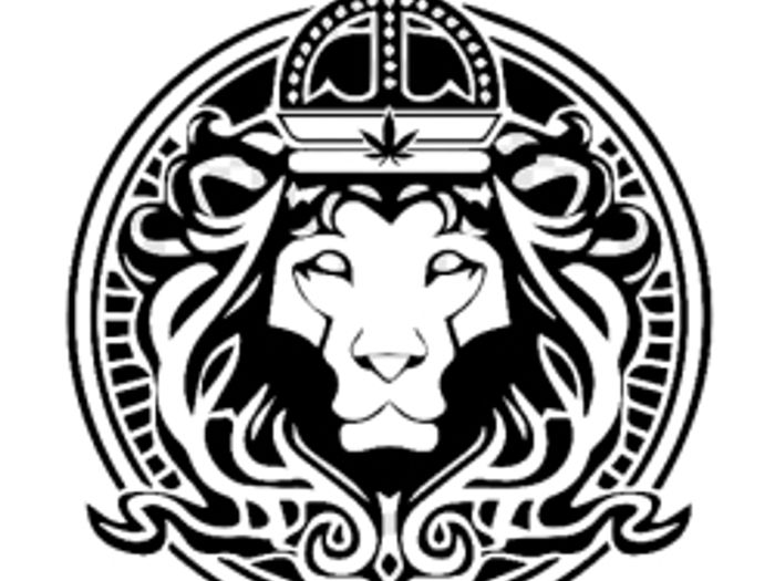 Seed Supreme Brand Information Leafist